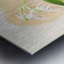 Aeranthus Leonis Metal print