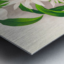 Catasetum bungerothi  Metal print