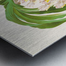 Catasetum tigrinum Metal print