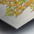 Ansellia congoensis Metal print