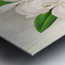 Cattleya kimballiana Impression metal