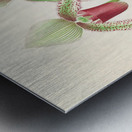 Cypripedium superbiens  Metal print