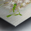 Dendrobium crumenatum Metal print