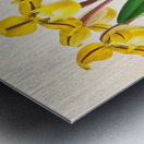 Cypripedium Druryi Metal print