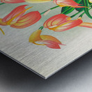 Masdevallia ignea Metal print