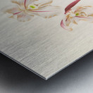 Cypripedium microchilum Metal print