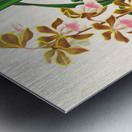 Epidendrum atropurpureum Metal print