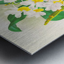 Dendrobium galliceanum Metal print