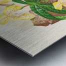 Cypripedium tonkinense Metal print