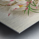 Dendrobium Falconeri Metal print