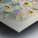 Dendrobium wardianum Metal print