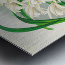 Cymbidium mastersi Metal print