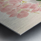 Phalaenopsis sanderiana Metal print