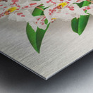 Odontoglossum alexandrae var cutsemianum Metal print