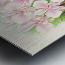 Phalaenopsis schilleriana Metal print