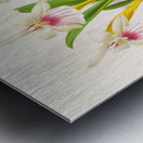 Miltonia spectabilis Metal print