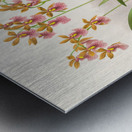 Oncidium cucullatum Metal print