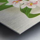 Spathoglottis Augustorum Metal print