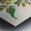 Zygopetalum intermedium Metal print