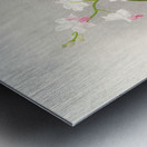 Phalaenopsis esmeralda var candidula Metal print