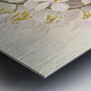 Phalaenopsis Stuartiana Metal print