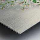 Odontoglossum ramosissimum Metal print