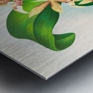 Odontoglossum Hastilabium Metal print
