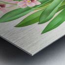 Miltonia vexillaria Metal print