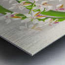 Vanda Boxalli Metal print