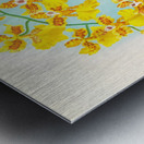 Oncidium marshallianum Metal print