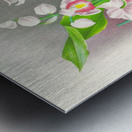 Phaius humbloti Metal print