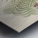 Phoenix [Phoenix reclinata] 1817 Metal print