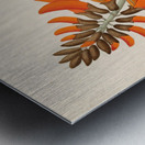 Erythrina Caffras 1817 Metal print