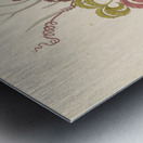 Cisfus Nov. Sp. [Cyphostemma quinatum] 1817 Metal print