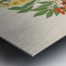 Icosandria monog. [Ochna arborea] 1817 Impression metal