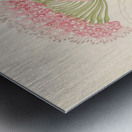 Brunswigia [Brunsvigia grandiflora] 1817 Metal print