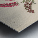 Pentand. Monog. [Lysimachia nutans] 1817 Metal print