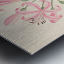 Amarillis [Boophone disticha] 1817 Metal print