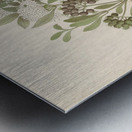 Pavetta caffra [Pavetta lanceolata] 1817 Impression metal