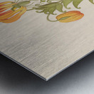 Gloriosa [Gloriosa superba] 1817 Metal print