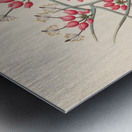 Cleome juncea. [Cadaba aphylla] 1817 Metal print