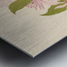 Calodendrum capense 1817 Impression metal