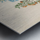 Pentand. mono. [Ehretia rigida] 1817 Metal print