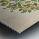 Capparis Nov. Sp. [Maerua caffra] 1817 Metal print