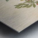 Octandria Monog. [Pappea capensis] 1817 Metal print