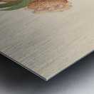 Asclepias grandiflora [Pachycarpus grandiflorus] 1817 Metal print