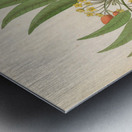 Decandria Mon. [Harpephyllum caffrum] 1817 Impression metal