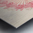 Brunswigia [Ammocharis coranica] 1817 Metal print