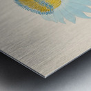 Nymphaea coerulea [Nymphaea nouchali] 1817 Metal print