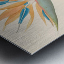 Strelitzia Reginae 1817 Impression metal